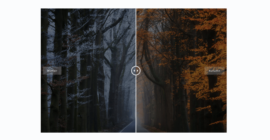 How to Show Before After Image Slider in WordPress (Free)