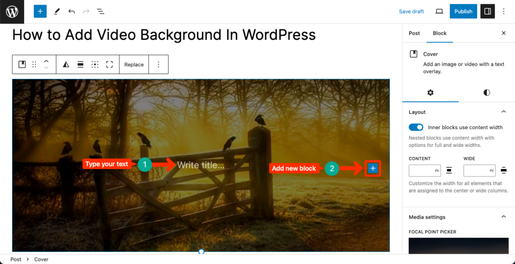 How to Add Video Background In WordPress