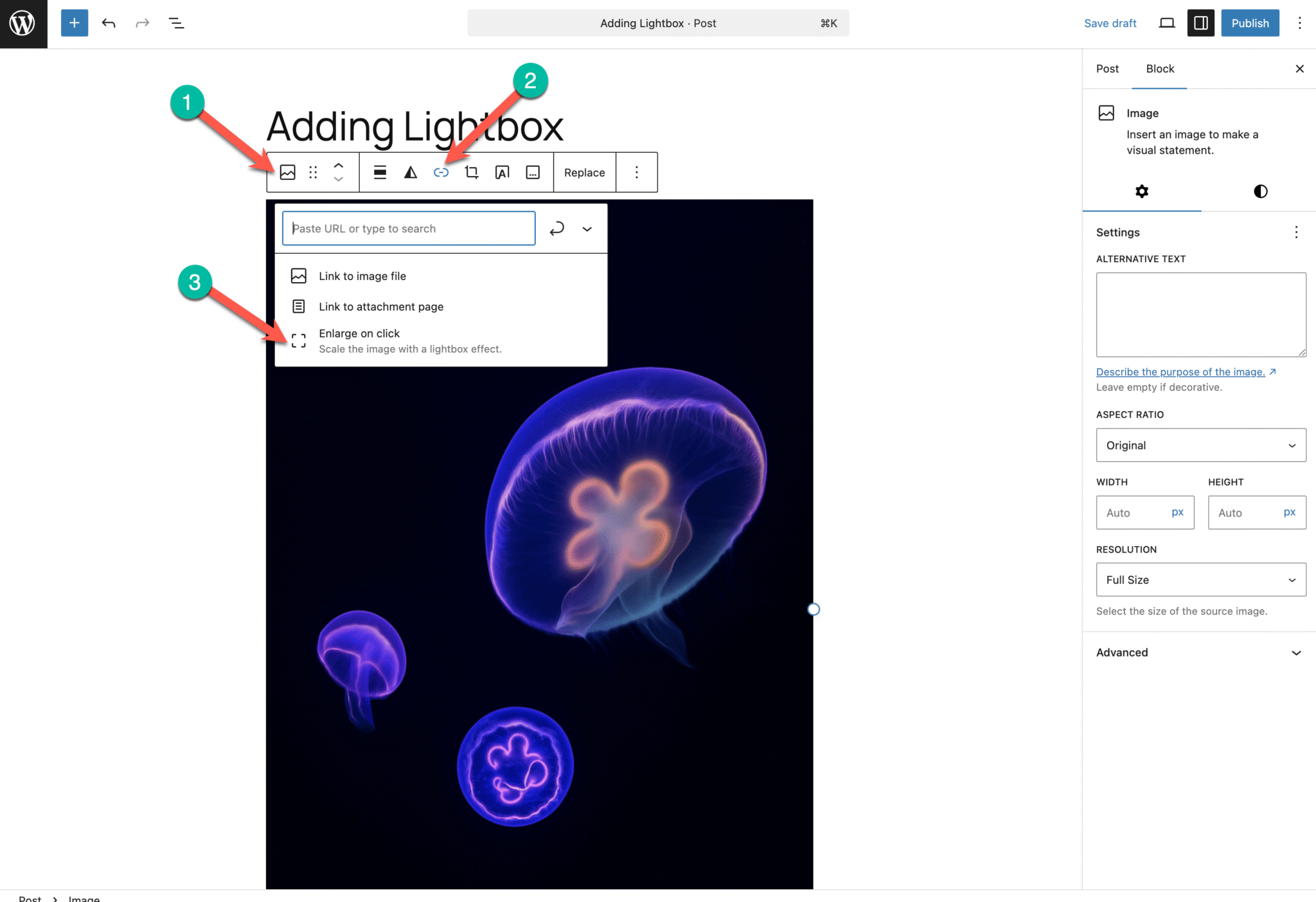 How to Add a LightBox in WordPress (With/out Using A Plugin)